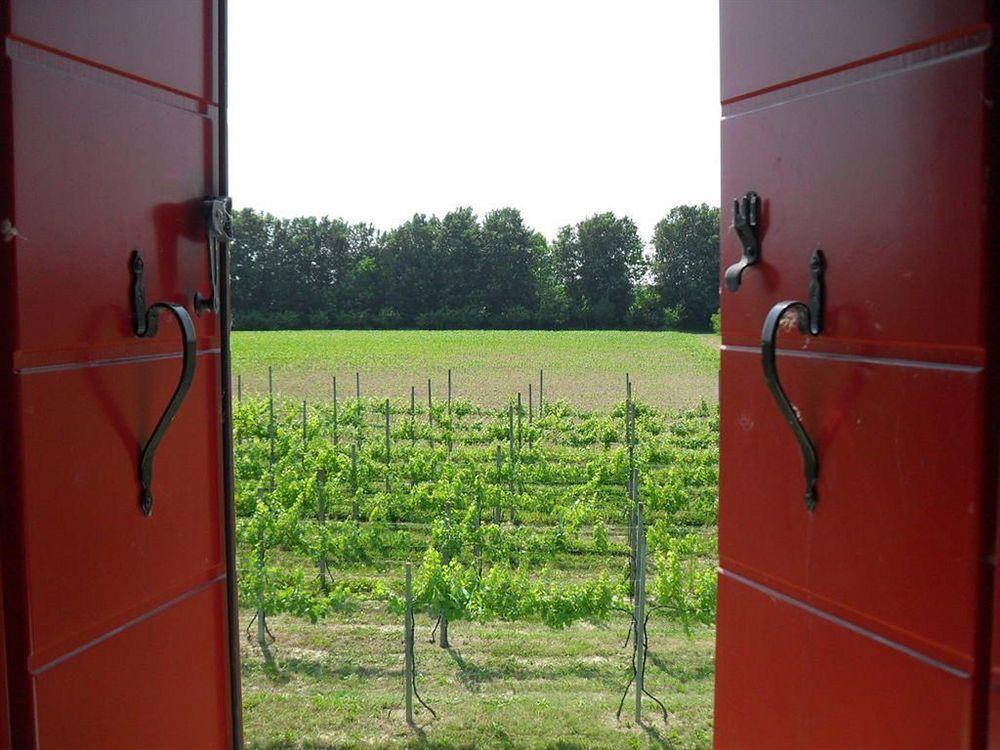 Bauernhof Dartora Sambruson